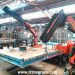 Trabajo varias gr�as articuladas en el interior de una nave