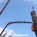 Poda y retirada de palmera seca con gr�a