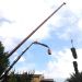 Poda y retirada de palmera seca con gr�a