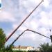 Poda y retirada de palmera seca con gr�a