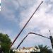 Poda y retirada de palmera seca con gr�a