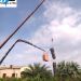 Poda y retirada de palmera seca con gr�a