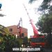 Poda y retirada de palmera seca con gr�a
