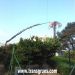 Propelled mobile cranes, truck cranes articulated