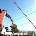 Poda y retirada de palmera seca con gr�as